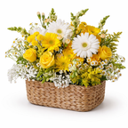 The Harvest Basket